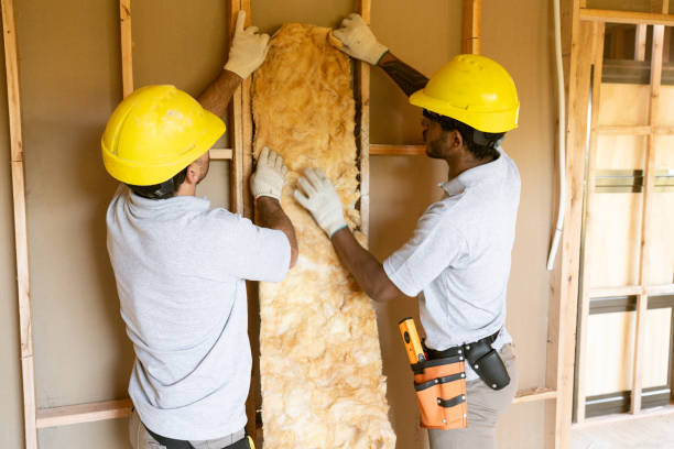 Best Spray Foam Insulation  in Salamatof, AK